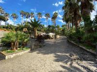 Romantic Relais Sorrento外面的花园