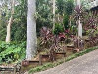 Palm beach Sydney, Modern home with water view外面的花园