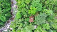 山林小屋周边自然景观