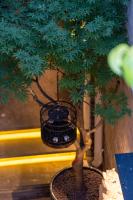 Beijing Le Zai Nan Luo Gu Xiang Wang Fu Jing Forbidden City Courtyard Hotel&Free laundry service&Free coffee &Paid Dumpling experience service外面的花园