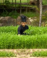 入住富国绿湾Spa度假村的客人