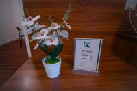 AL KARNAK HOTEL - BRANCH平面图