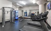 Modern 2BR in South Loop Near Soldier Field, Grant Park, Downtown, &amp; Lakefront Trail的健身中心和&#47;或健身设施