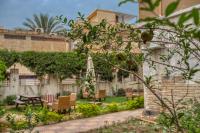 Villa Khufu Pyramids Hotel外面的花园