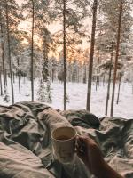 冬天的Invisible Forest Lodge