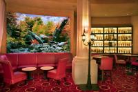 Peppermill Resort Spa Casino的电视和&#47;或娱乐中心