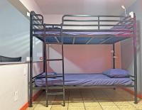 Sin City Hostel客房内的一张或多张双层床
