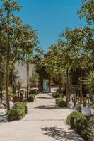 Ölüdeniz Blu Luxury Unique Hotel - Adults-Only外面的花园