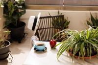 Jolly Suites的休息区
