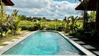 乌布Jagadhita Villas Ubud Bali的院子里的游泳池