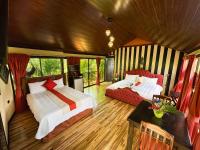 福尔图纳Hotel Heliconias Nature Inn &amp; Hot Springs的一间卧室配有两张床和一张沙发。
