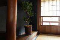 篠山城下町ゲストハウス quolo平面图