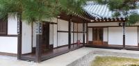 江陵市Gangneung Wangsangoal Hanok Pension的前面有一棵树的建筑物