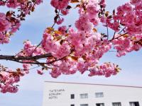 Tateyama Kokusai Hotel平面图