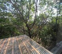 奥斯汀Cozy Coop Casita - Lake Travis-Hot Tub-Tiny House的树屋的屋顶