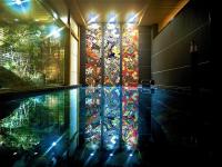 Daiwa Roynet Hotel KANAZAWA-MIYABI内部或周边的泳池