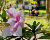 Casa Park外面的花园