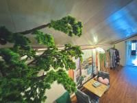 SAKURA House ĐÀ LẠT外面的花园