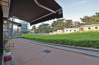 Jian Hanok外面的花园