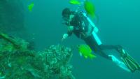 入住Ocean View Tulamben Dive &amp; Resort的客人