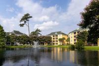 默特尔比奇Sheraton Broadway Resort Villas的湖中带喷泉的建筑