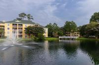 默特尔比奇Sheraton Broadway Resort Villas的湖中带喷泉的建筑