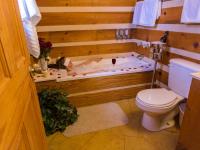 Rustic Cabin的一间浴室