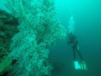 入住Ocean View Tulamben Dive &amp; Resort的客人