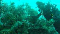 入住Ocean View Tulamben Dive &amp; Resort的客人