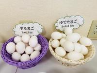 Center Hotel Narita1平面图