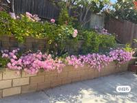 In a quiet neighborhood near the Main Street-Room C外面的花园