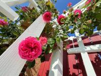 In a quiet neighborhood near the Main Street-Room C外面的花园