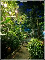 Ancient Garden Boutique Hoi An外面的花园