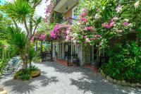 Ancient Garden Boutique Hoi An外面的花园