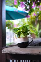 Ancient Garden Boutique Hoi An外面的花园