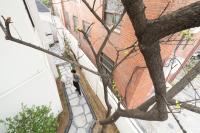 Boro Hanok Hostel in Myeongdong平面图