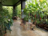 Marco Polo Rest House外面的花园