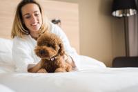 Park Inn by Radisson Vilnius Airport Hotel & Conference Centre客房内的一张或多张床位