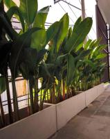 Studio Sukumvit 29外面的花园