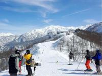 在酒店或周边滑雪