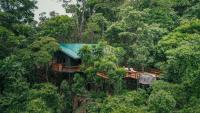福尔图纳Chachagua Rainforest Hotel &amp; Hot Springs的森林中的一个树屋