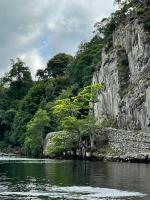 温德米尔Ramblers Retreat Windermere的山边水中的一棵树