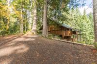 阿什福德Chalet at Rainier Lodge (0.4 miles from the entrance)的树林中的小屋,有一条土路和树木