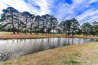 默特尔比奇Beautiful 1500 s f 3 Bd - 2 Ba condo overlooking stream and golf course的树下田地的池塘