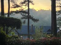 大叻Lan Anh Villas Resort的有蓝色屋顶和树木和鲜花的房子