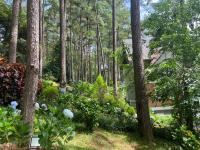 大叻Lan Anh Villas Resort的树林里有树木和鲜花的花园