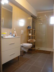 昂代HENDAYE- T2 3*-Wifi-350m plage-terrasse-garage的浴室配有卫生间、盥洗盆和淋浴。