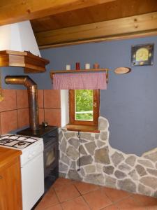 托尔明Holiday Home Na planini的厨房配有炉灶和石墙