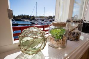 索尔瓦根The Tide - Rorbuer的三个玻璃瓶,坐在窗台上,上面有植物