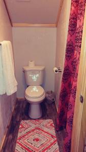 潘圭奇Wonder Inn Outback的一间带卫生间和地毯的浴室